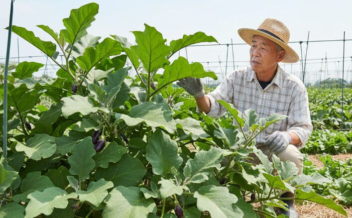 ナスで葉っぱだけ大きくなるのはなぜ？主な原因を解説