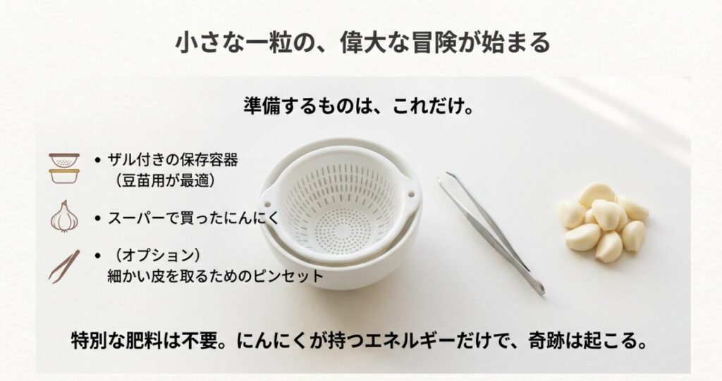 水耕栽培に必要な道具の紹介。ザル付き保存容器（豆苗用）、スーパーのにんにく、ピンセットが必要で、特別な肥料は不要であると記載されています。