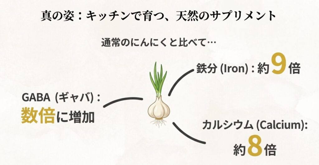 通常のにんにくとの栄養比較グラフ。鉄分が約9倍、カルシウムが約8倍、GABAが数倍に増加することを示すデータ。