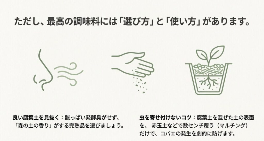 森の土の香りがする完熟腐葉土の選び方と、赤玉土で表面を覆うマルチングによるコバエ対策のイラスト
