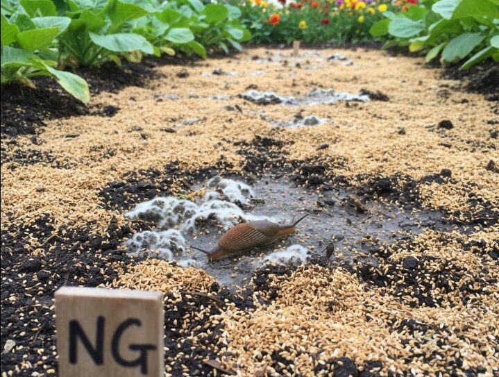 庭に撒く際の放置はNG