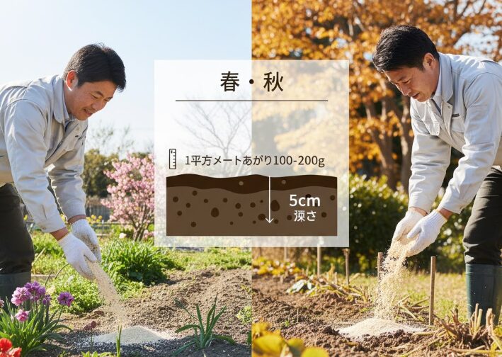 効果的な散布量と時期、深さ