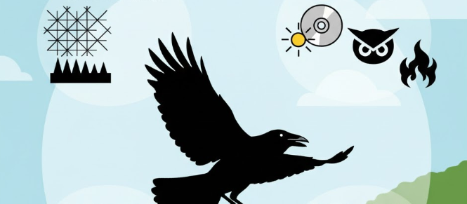 対策前に知るべき鳥の3つの弱点