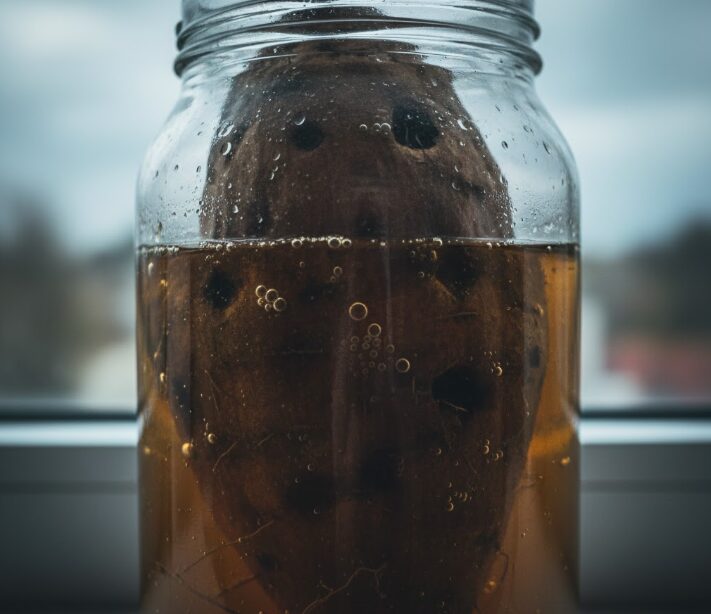 水質悪化と酸素不足が招く腐敗