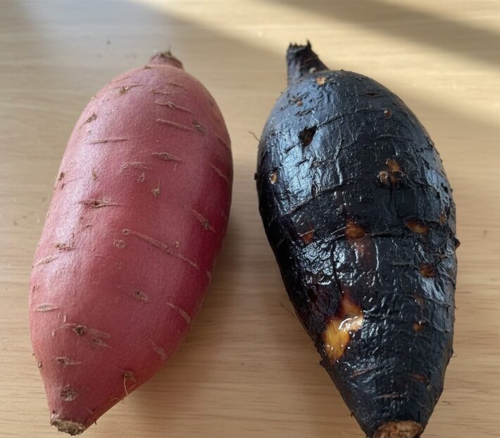 基腐病などの病気が潜むリスク