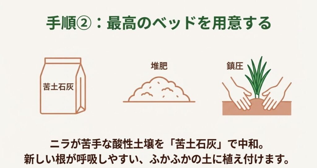 苦土石灰で酸度調整し、堆肥を混ぜてふかふかの土に植え付け、手で鎮圧する手順のイラスト。
