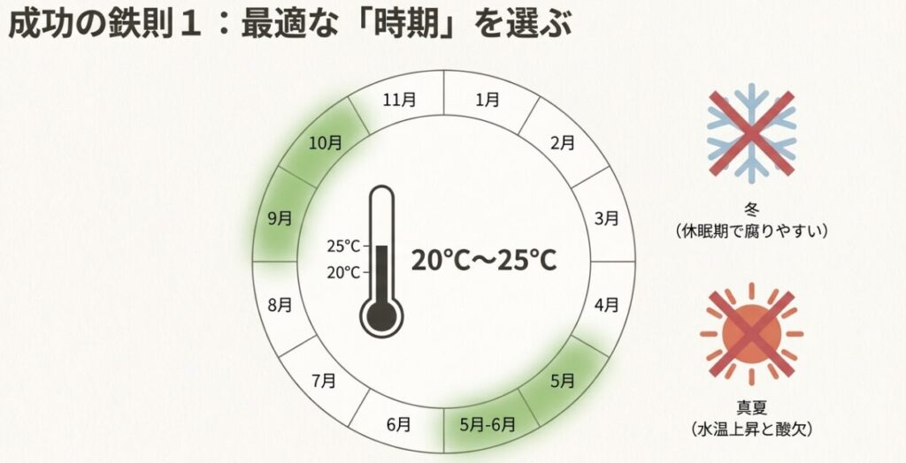 1年間のカレンダーと温度計のイラスト。成長期である5月-6月と9月-10月の気温20℃〜25℃が最適であることを示す図。