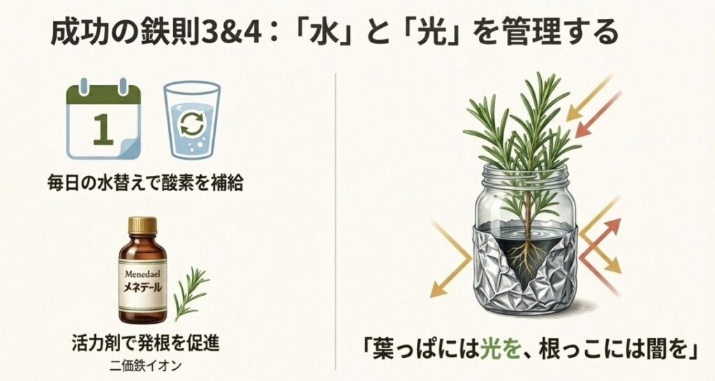 アルミホイルで遮光された瓶に入ったローズマリーのイラスト。「葉っぱには光を、根っこには闇を」という重要ポイントの解説。