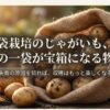 袋栽培のじゃがいもを宝箱にするための、失敗の原因と収穫最大化の極意を解説するスライドの表紙