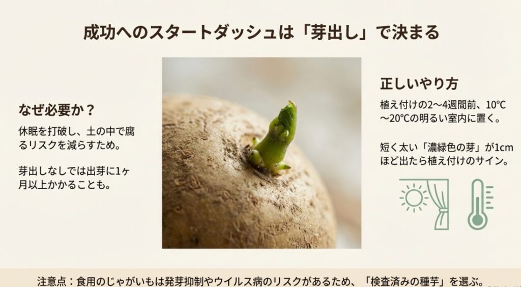 種芋から1cmほどの濃緑色の芽が出た植え付けサインの状態と、芽出しに必要な温度(10〜20℃)や期間の解説
