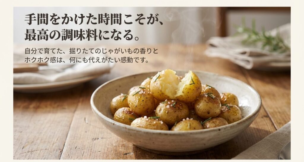 手間をかけた時間こそが最高の調味料になるという、自家製じゃがいも栽培の結びのメッセージ
