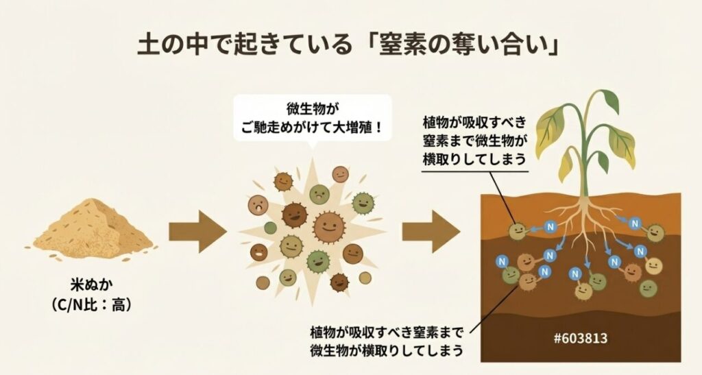 微生物が米ぬかの分解のために土壌中の窒素（N）を横取りし、植物が栄養不足になる様子の図解