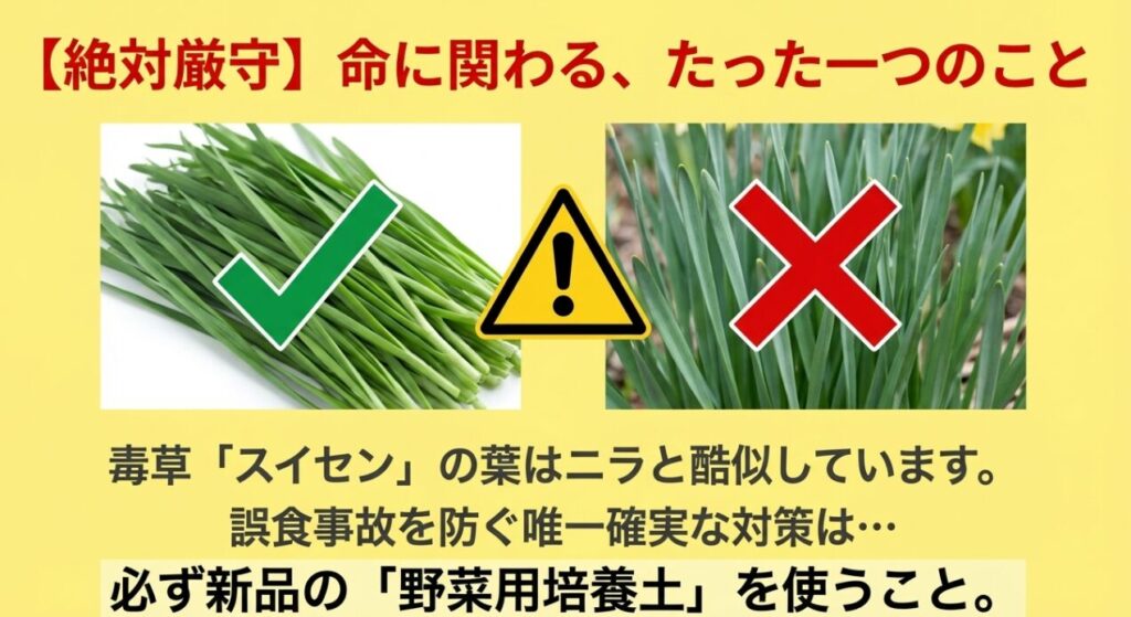 ニラとスイセンの葉の比較画像と、誤食を防ぐために新品の野菜用培養土を使うよう促す警告