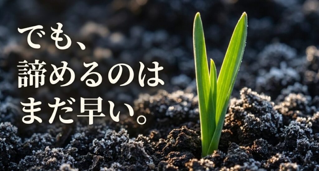 11月の遅植えでも諦めるのはまだ早いというメッセージ。ここから具体的なリカバリー策を紹介。
