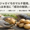 代替テキスト: ジャガイモのマルチ栽培における「成功の秘訣」というタイトルのスライド