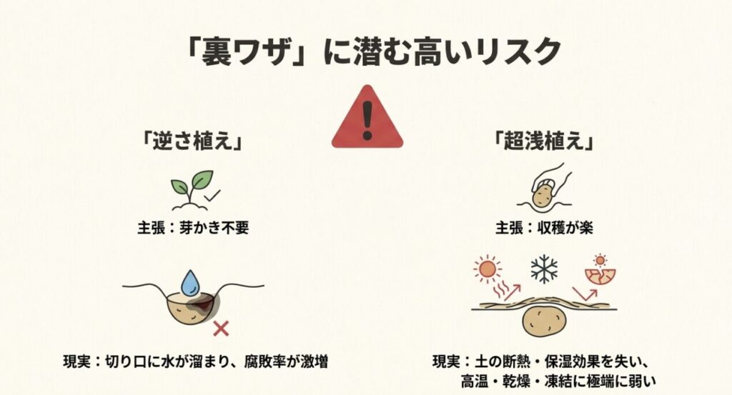 逆さ植えによる腐敗率の増加と、超浅植えによる環境変化への弱さを警告するスライド