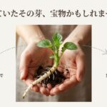 じゃがいもの芽かきを再利用して収穫量を倍増させる仕組み。種イモ1個から複数の株を育てるメリットとコスト削減効果。