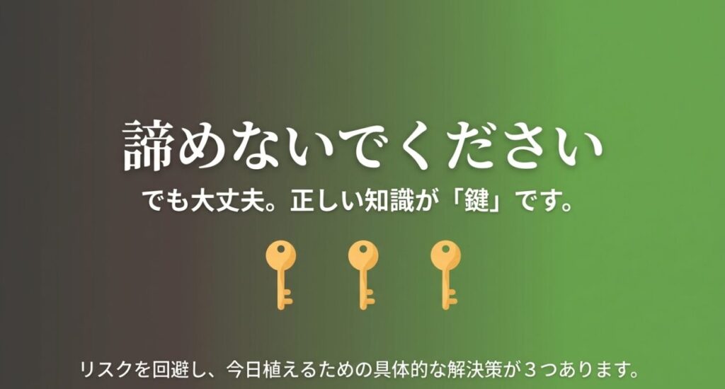 石灰をまいてすぐ植えるリスクを回避するための、資材・タイミング・場所に関する3つの具体的解決策