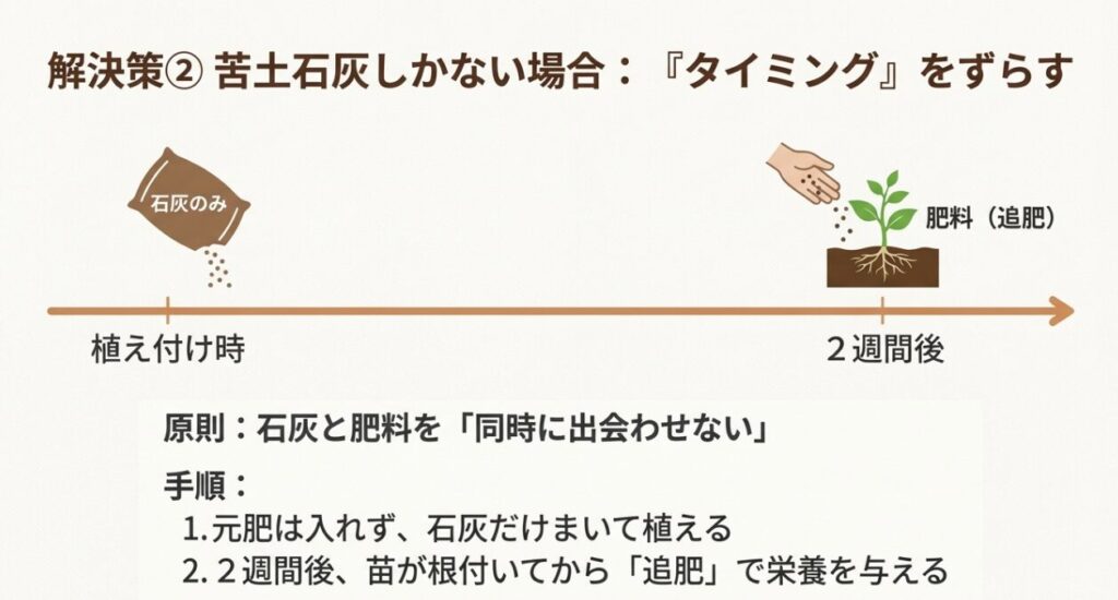 石灰と肥料を同時に出会わせないために、元肥を入れずに植え付け、2週間後に追肥を行う手順の解説図