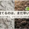米ぬかで甦るプランターの土再生術