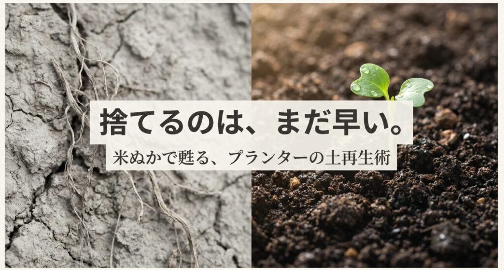米ぬかで甦るプランターの土再生術
