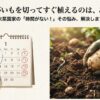週末菜園家の悩み「時間がない」を解決するじゃがいもの即植えスケジュールとタイトルスライド