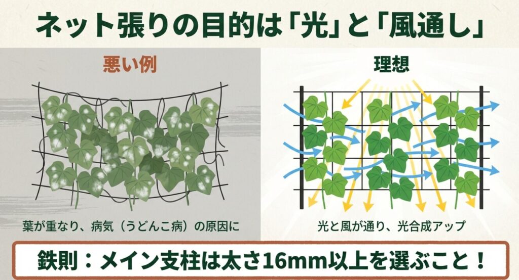 きゅうりの葉に光と風が通り、光合成効率がアップする理想的なネット張りのイラスト図解。