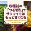 さつまいも収穫のプロが教える、保存性と味を高めるための「1週間前のつる切り」の重要性を説くタイトルスライド。