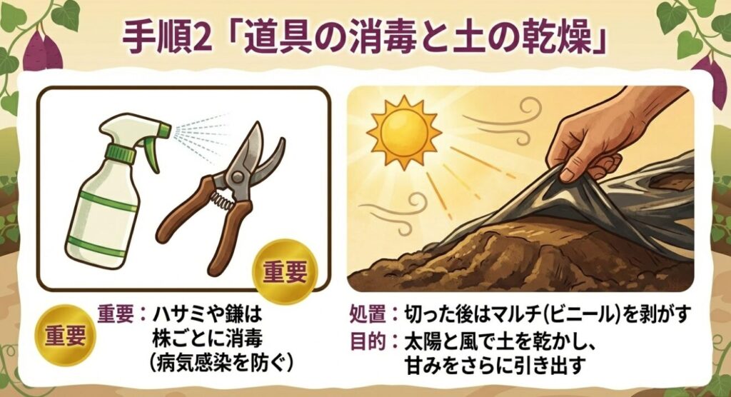 ハサミや鎌を株ごとに消毒して病気を防ぐ重要性と、切った後にマルチを剥がして太陽と風で土を乾かす手順の解説。