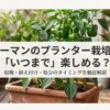 ピーマンのプランター栽培における収穫・植え付け・処分のタイミング解説スライドの表紙。
