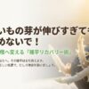 じゃがいもの芽が伸びすぎても諦めない！失敗から大収穫へ変える種芋リカバリー術の解説ガイド表紙。