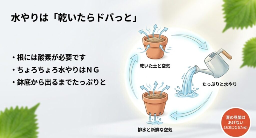 乾いた土にたっぷりと水をやることで新鮮な空気が供給される仕組みを示したイラスト図解。夏の昼間の水やり禁止についても記載。