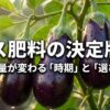 ナス肥料の時期と選び方についての解説スライド表紙。