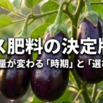 ナス肥料の時期と選び方についての解説スライド表紙。