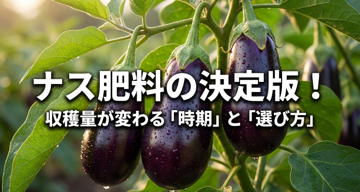 ナス肥料の時期と選び方についての解説スライド表紙。