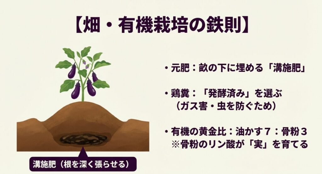 根を深く張らせる溝施肥の解説と、油かす7対骨粉3の有機肥料の黄金比についての解説。