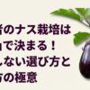 初心者向けのナス栽培ガイド、支柱の選び方と立て方の極意を解説したスライド表紙