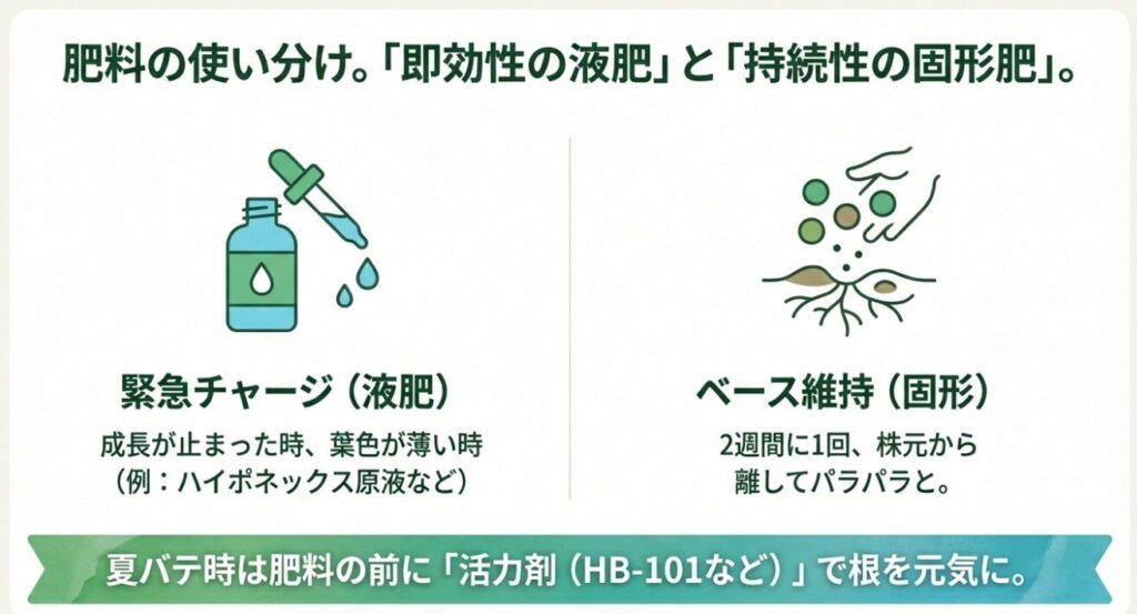 キュウリ栽培における液体肥料(緊急チャージ)と固形肥料(ベース維持)の役割と使い方のイラスト