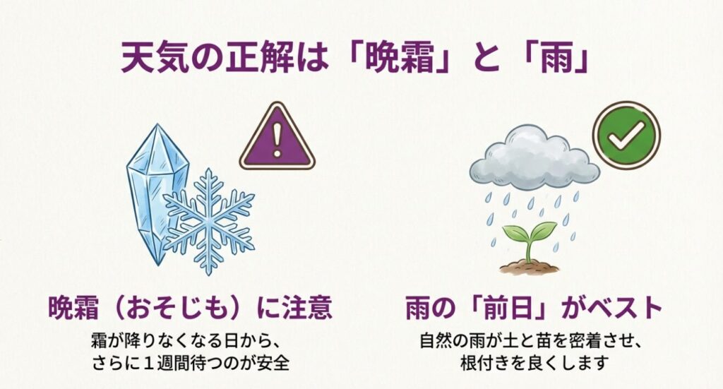 さつま芋植え付け時は晩霜に注意し、雨の前日に行うのがベストであることを示す天気記号のイラスト