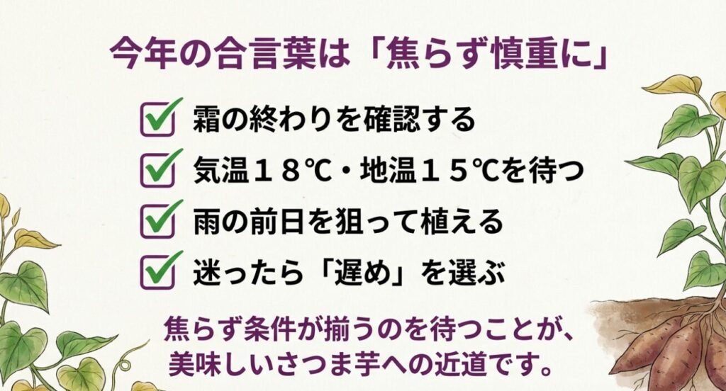 さつま芋植え付け成功のためのチェックリスト。霜の終わりや気温の確認、雨の前日を狙うなどのポイントまとめ