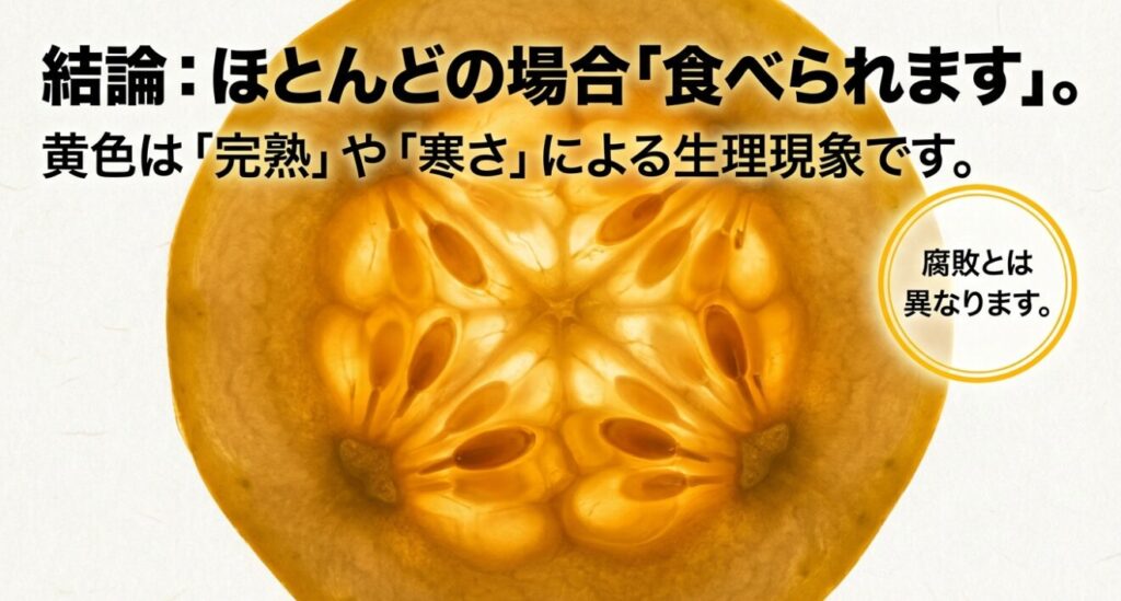 きゅうりの黄色い変色は完熟や寒さによる生理現象であり、ほとんどの場合食べられるという結論の解説