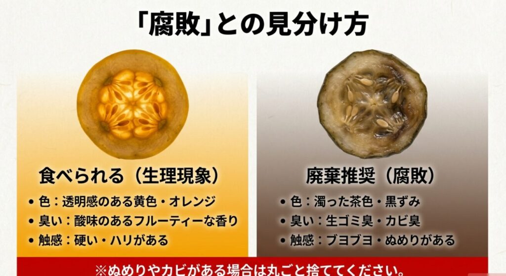 黄色いきゅうり（食べられる）と腐敗したきゅうり（廃棄推奨）の断面写真比較と、色・臭い・触感の見分け方チェックリスト