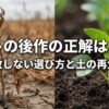 トマト栽培の後作におすすめの野菜と土の再生術を解説したスライドの表紙