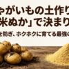 じゃがいもの土作りは米ぬかで決まり！病気を防ぎホクホクに育てる最強資材