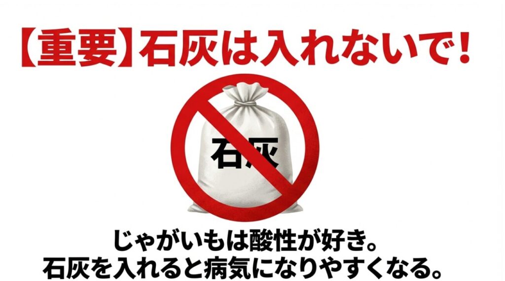 重要！じゃがいも栽培に石灰は入れないで。酸性を好むため病気の原因になります
