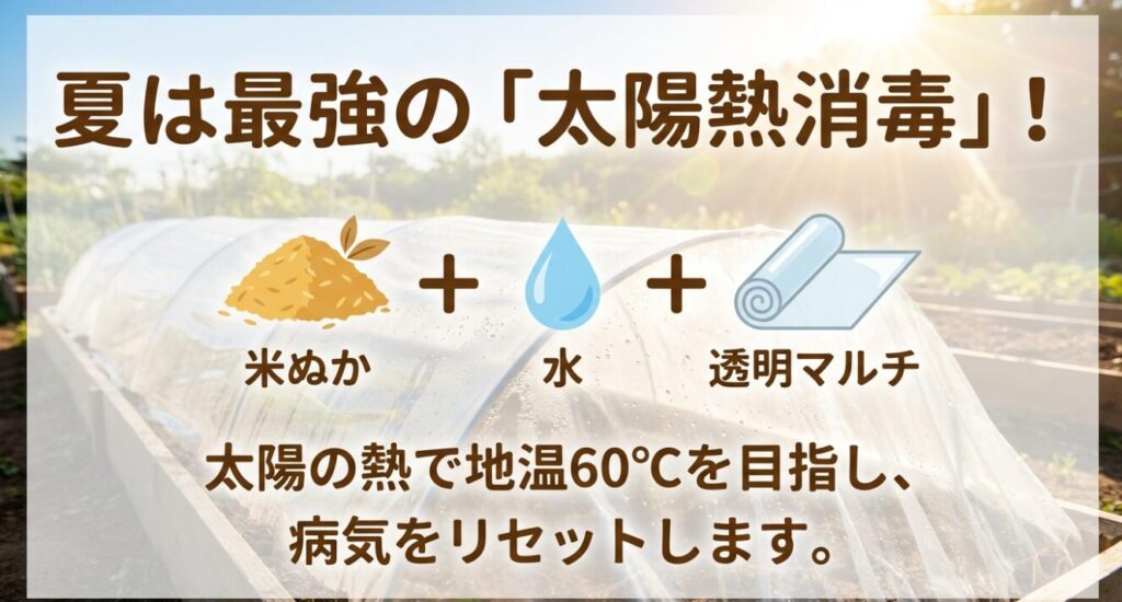 米ぬか、水、透明マルチを使用して地温60度を目指し、土壌の病気をリセットする太陽熱消毒の図解。