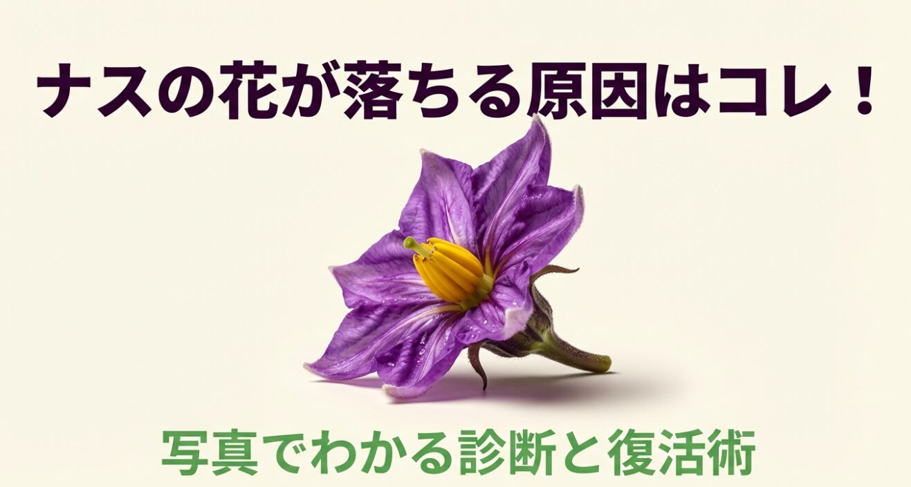 紫色のナスの花のアップ画像と、ナスの花が落ちる原因と復活術のタイトル