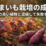 さつまいも栽培の成功術。相性の良い植物と混植して失敗を防ぐ方法の解説スライド表紙。