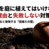 スライド資料の表紙：「玉ねぎを庭に植えてはいけない？5つの理由と失敗しない対策」というタイトルと、知らずに始めると後悔する庭植えの壁についての導入 。