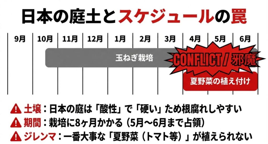 9月から6月までの栽培カレンダー。玉ねぎ栽培は8ヶ月かかり、5月の夏野菜（トマト等）植え付け時期を占領してしまうジレンマと、日本の庭土が酸性で硬い問題を解説した図表 。